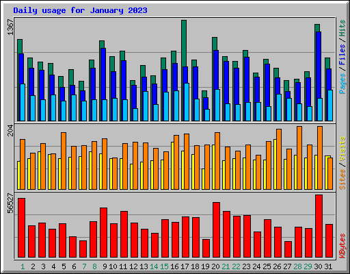 Daily usage for January 2023