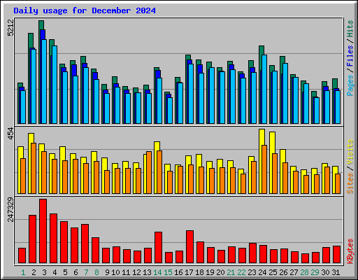 Daily usage for December 2024