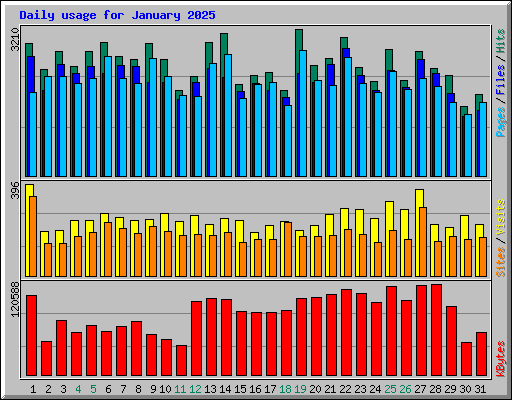 Daily usage for January 2025