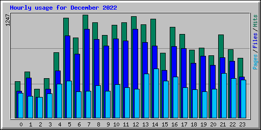 Hourly usage for December 2022