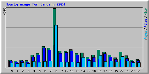 Hourly usage for January 2024