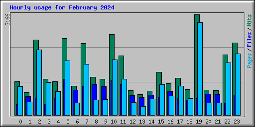 Hourly usage for February 2024