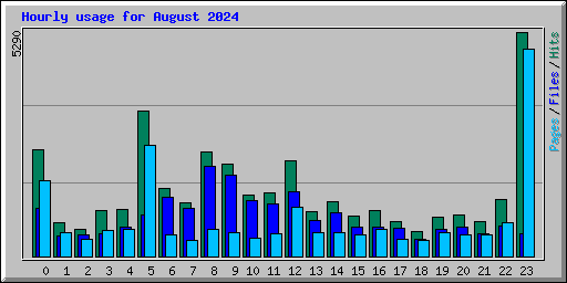 Hourly usage for August 2024