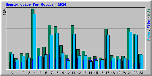 Hourly usage for October 2024