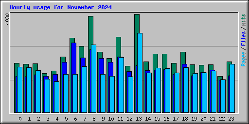 Hourly usage for November 2024