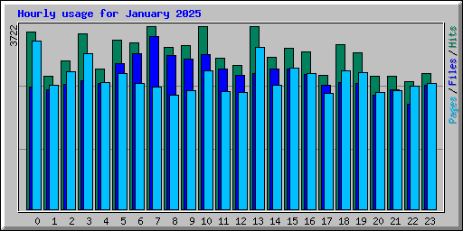 Hourly usage for January 2025