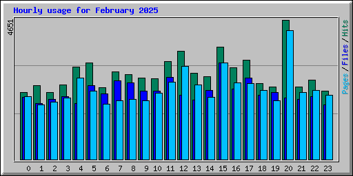 Hourly usage for February 2025
