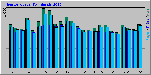 Hourly usage for March 2025