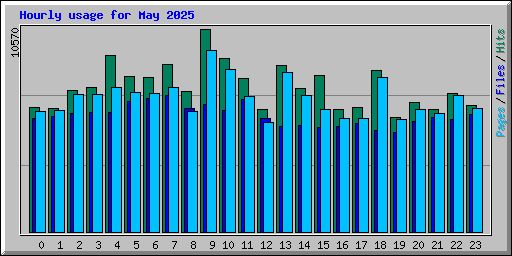 Hourly usage for May 2025