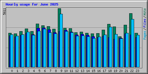 Hourly usage for June 2025